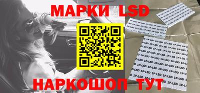 гидропоника Брянск