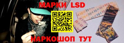 гидропоника Брянск