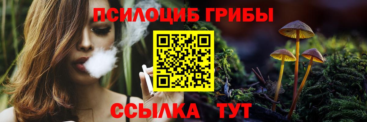 Галлюциногенные грибы MAGIC MUSHROOMS  Вход с VPN  Баксан 